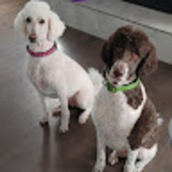 Meet your Posher, Craig - Picture 1 of 1